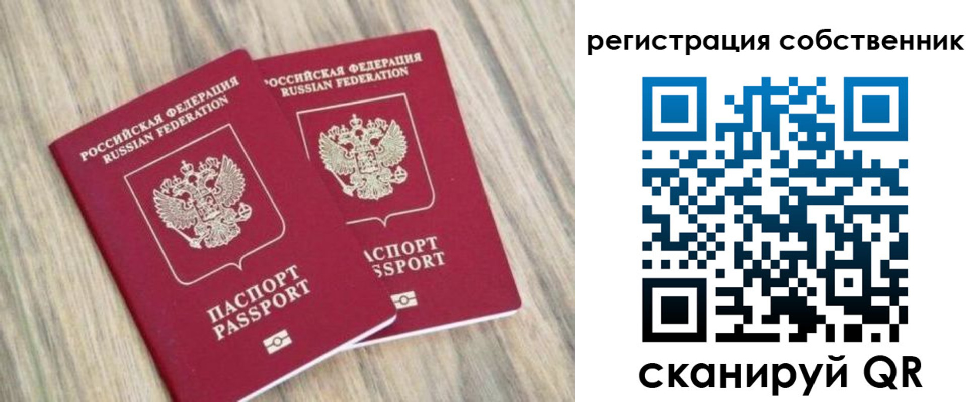 прописка ребенка в Апатитах